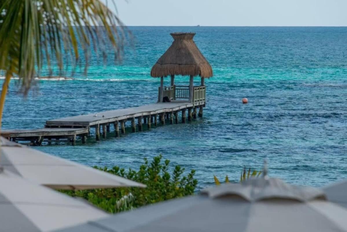 4Bd Grand Luxxe Riviera Maya Pool Resort بلايا ديل كارمن المظهر الخارجي الصورة